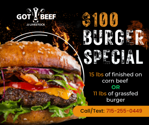 $100 Burger Special