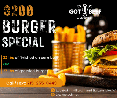 $200 Burger Special