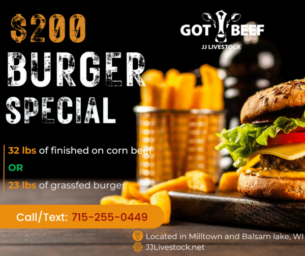$200 Burger Special